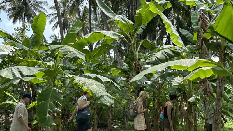 Ledelse og konflikth�ndtering