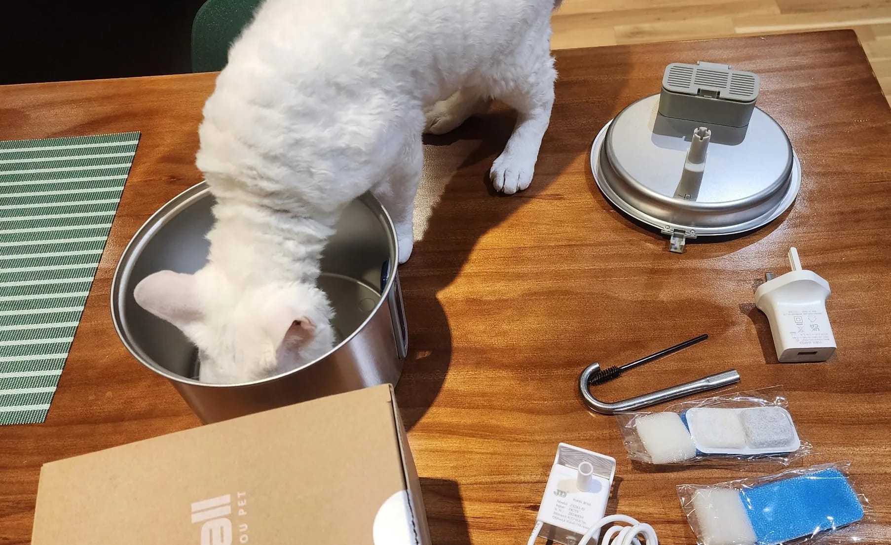 Foto cliente: cane che ispeziona la fontanella per cani