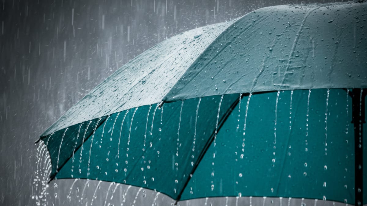 Umbrella Companies: When the Rain Starts Falling on Everyone