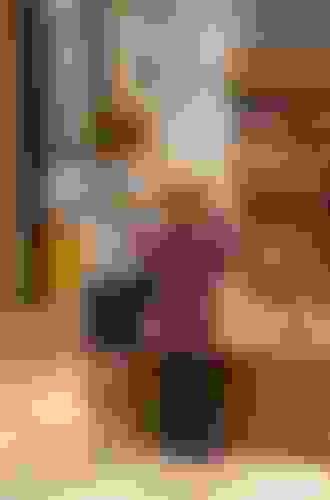 Musee Gourmand Du Chocolat Choco Story Visitparisregion