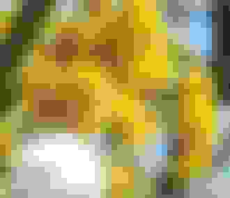 Affiche de lla Fête des plantes 2026%252C en avril%252C au Château de Saint-Jean-de-Beauregard