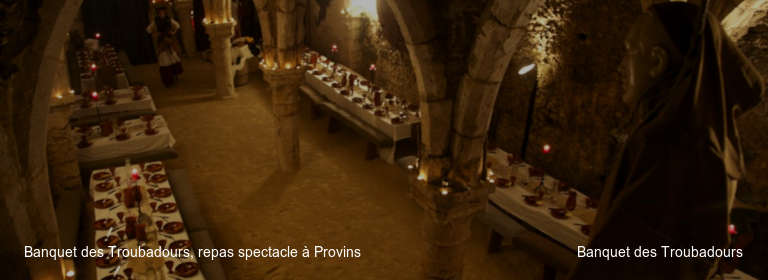 Banquet des Troubadours, repas spectacle à Provins