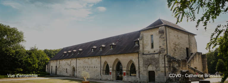 Vue d'ensemble