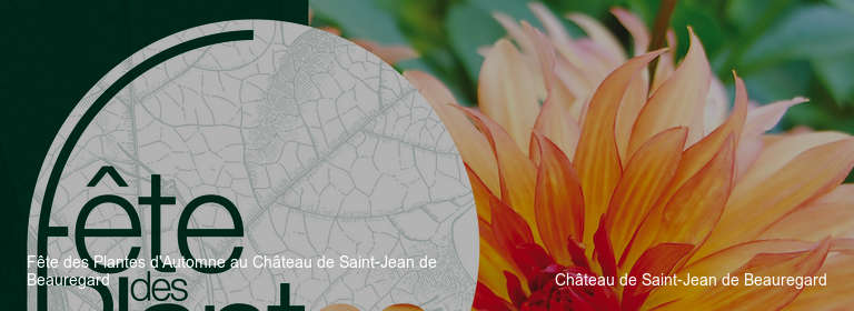 Fête des Plantes d'Automne au Château de Saint-Jean de Beauregard