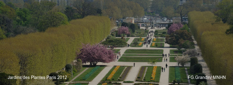 Jardins des Plantes Paris 2012 FG.Grandin/ MNHN
