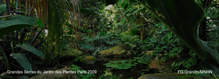 Grandes Serres du Jardin des Plantes Paris 2009