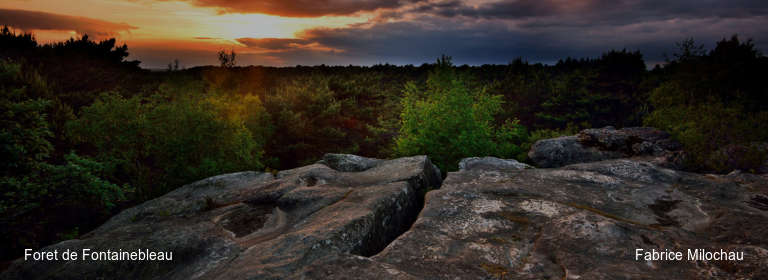 Foret de Fontainebleau