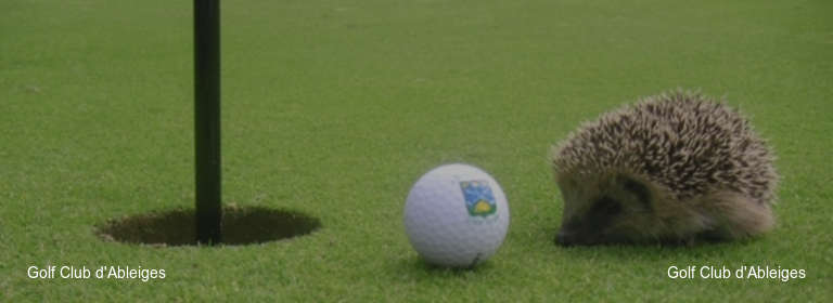 Golf Club d'Ableiges