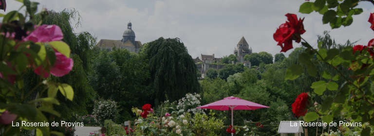 La Roseraie de Provins
