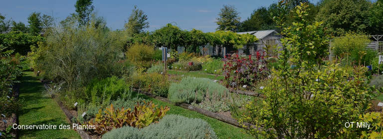 Conservatoire des Plantes