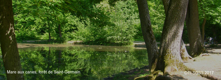 Mare aux canes, forêt de Saint-Germain OTI SGBS 2017