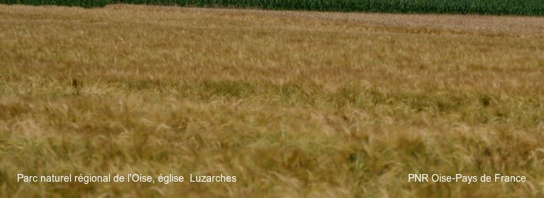 Parc naturel régional de l'Oise, église Luzarches PNR Oise-Pays de France