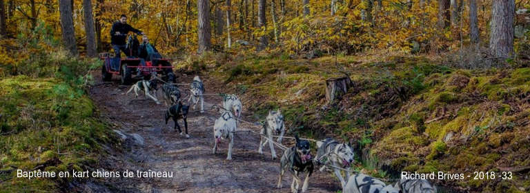 Baptême en kart chiens de traîneau