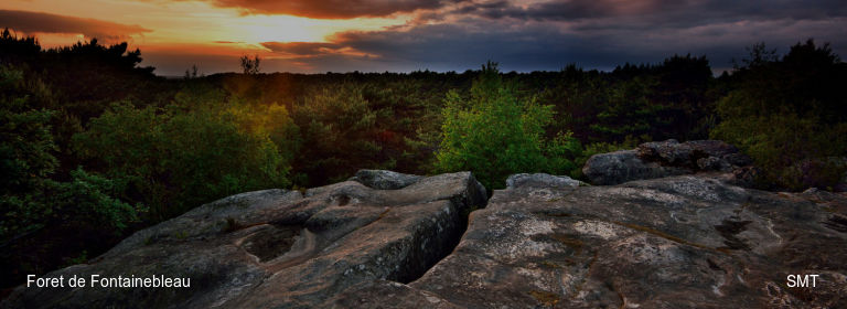 Foret de Fontainebleau SMT