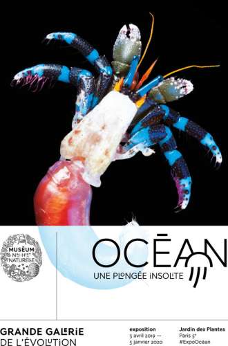 MUSEUM HISTOIRE NATURELLE OCEA 