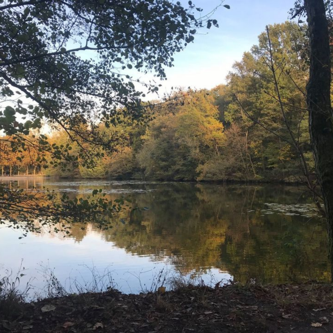 La forêt domaniale de la Malmaison | VisitParisRegion