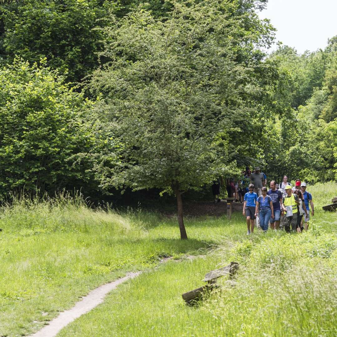 Hauts-de-Seine Walking Application | VisitParisRegion
