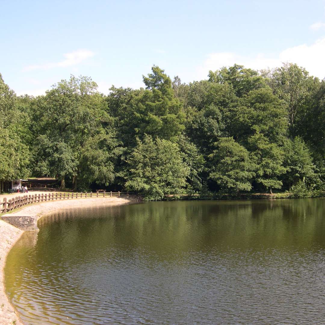 La forêt domaniale de la Malmaison | VisitParisRegion