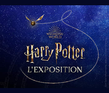 Mart Gedeeltelijk Mededogen Harry Potter: The Exhibition - Dated Ticket | VisitParisRegion