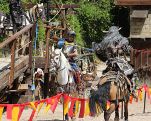 La Légende des Chevaliers, spectacle historique à Provins