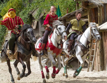 La Légende des Chevaliers - Provins