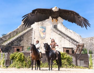 Les Aigles des Remparts, spectacle historique à Provins