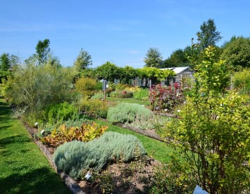 Conservatoire des Plantes