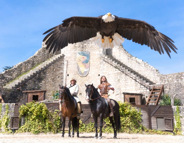 Les Aigles des Remparts, spectacle historique à Provins