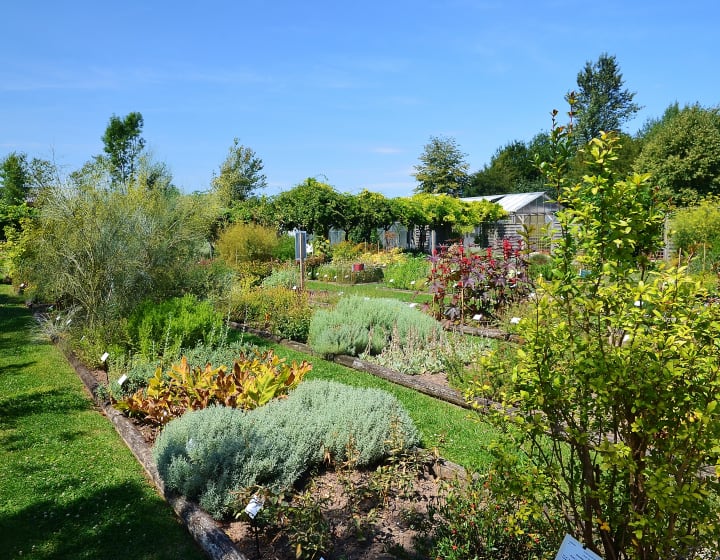 Conservatoire des Plantes