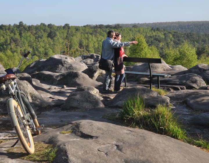 Foret de Fontainebleau