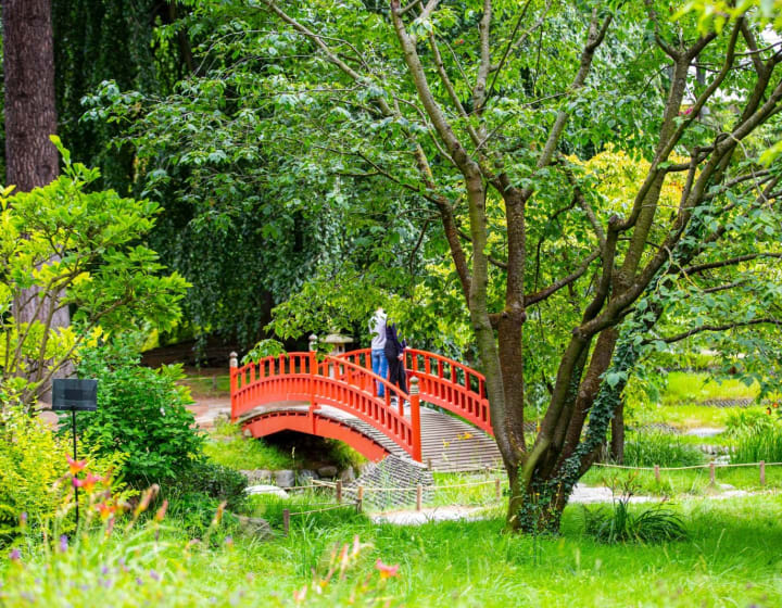 Le jardin japonais du musée départemental Albert-Kahn