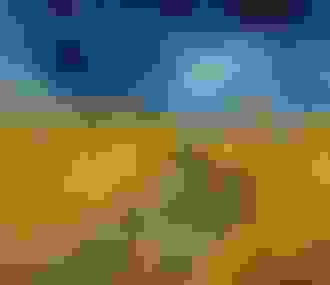 Van Gogh à Auvers-sur-Oise%252C les derniers mois%252C musée d&%2523039;Orsay