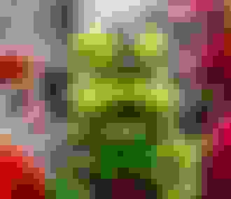 Lion dance during the Chinese New Year parade