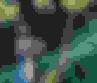 Tableau La femme peintre 1903 de Ferenczy