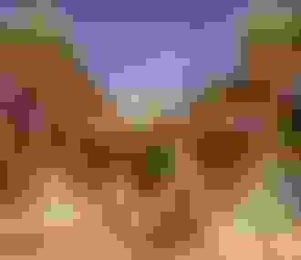 Spectacle le Roi Lion