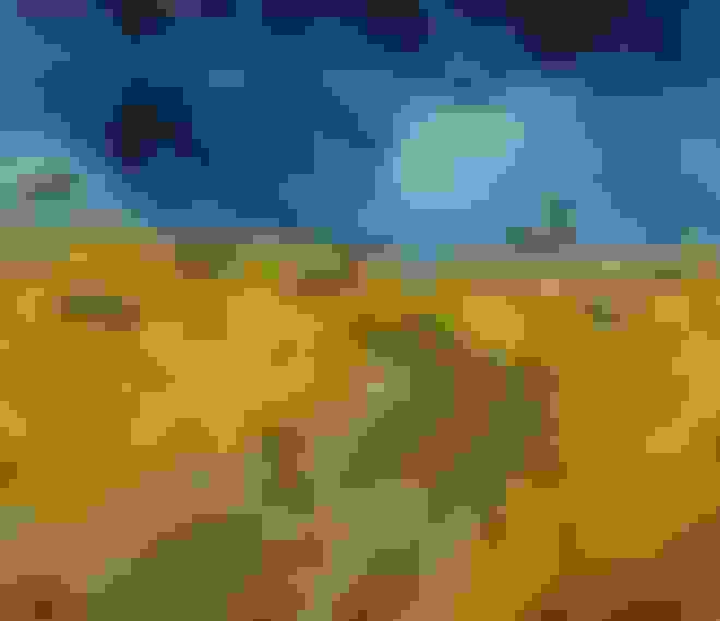 Van Gogh à Auvers-sur-Oise%252C les derniers mois%252C musée d&%2523039;Orsay