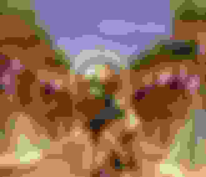 Spectacle%252C Le Roi Lion sur scène