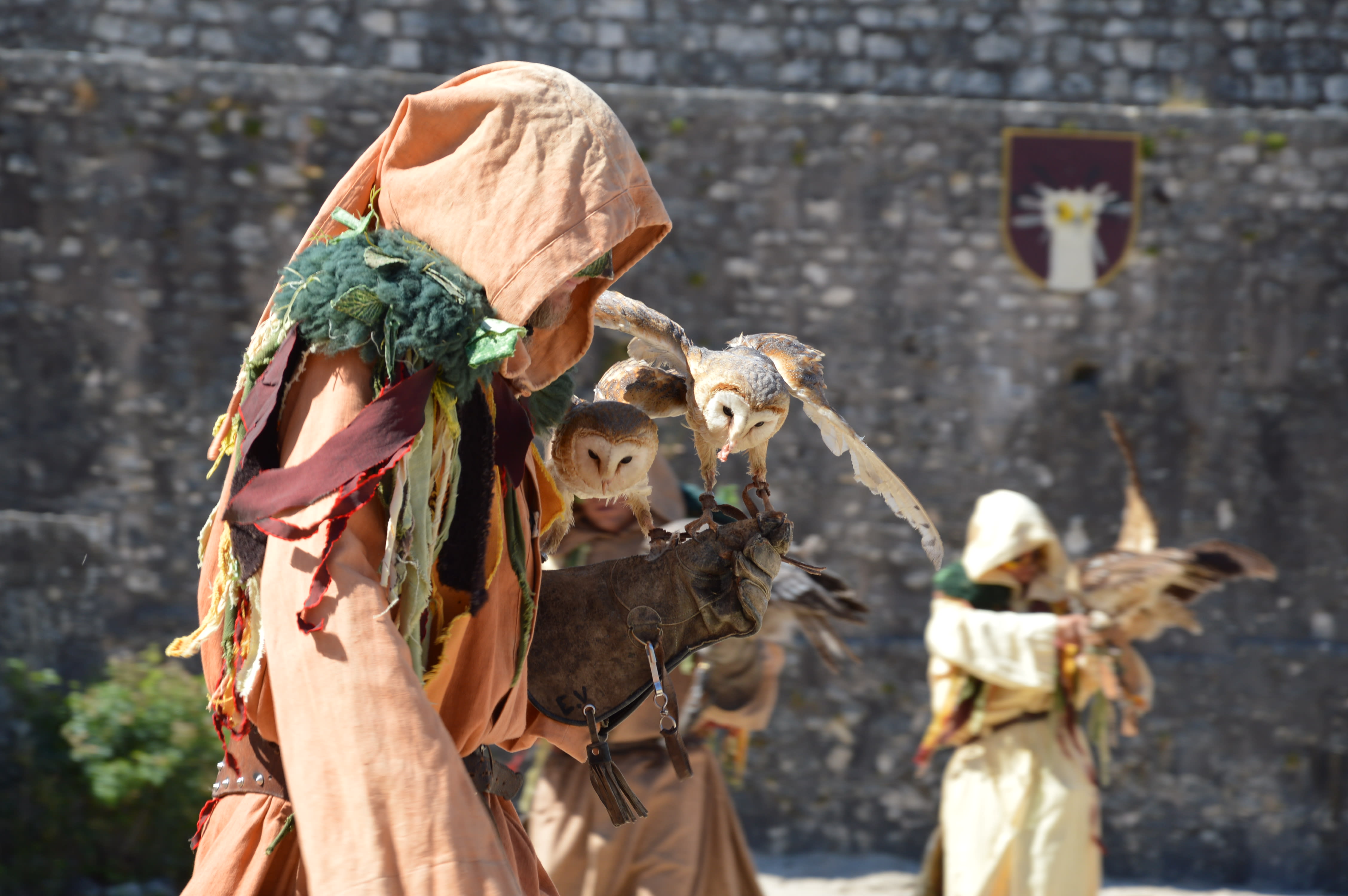 Les Aigles des Remparts