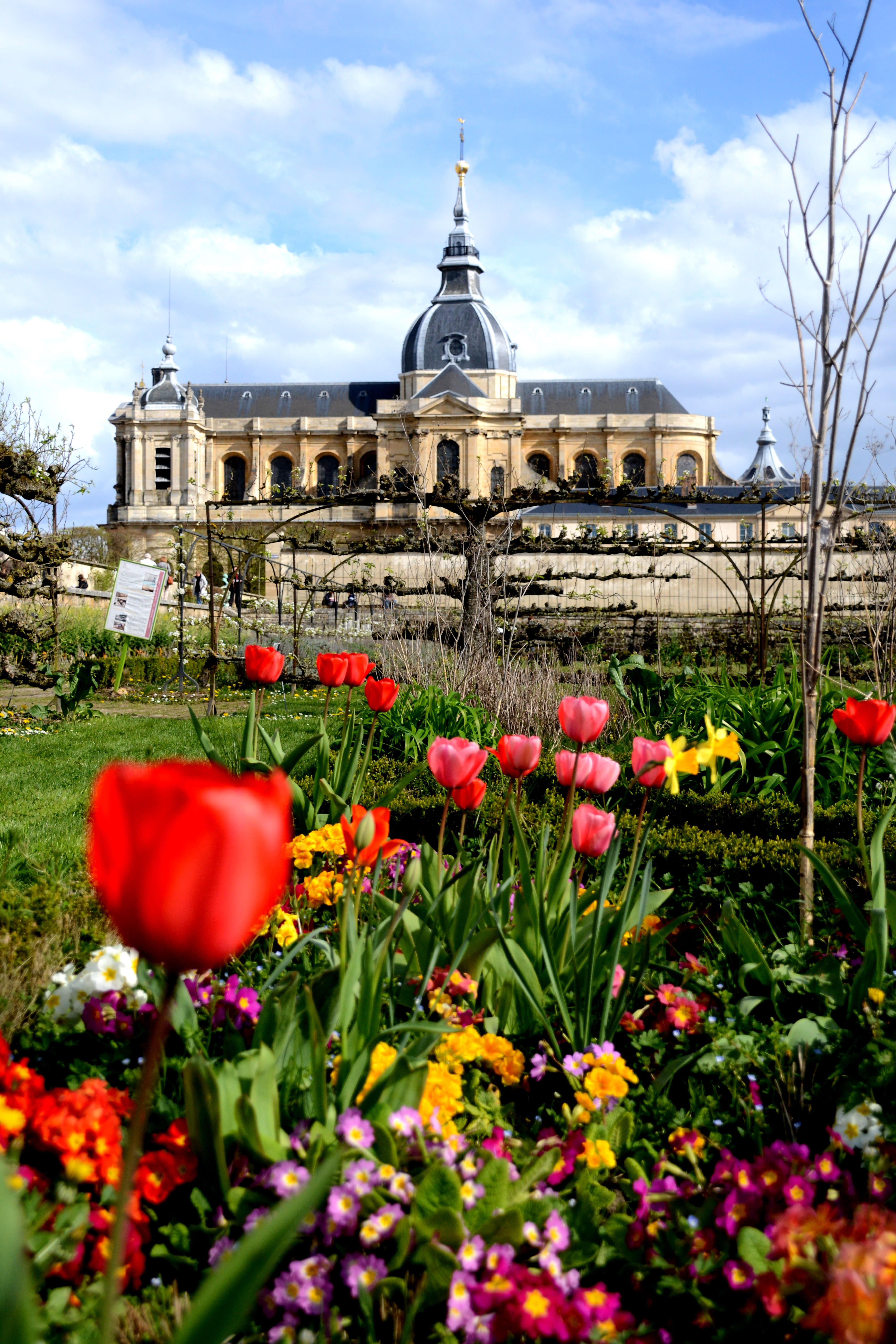 The King's Kitchen Garden