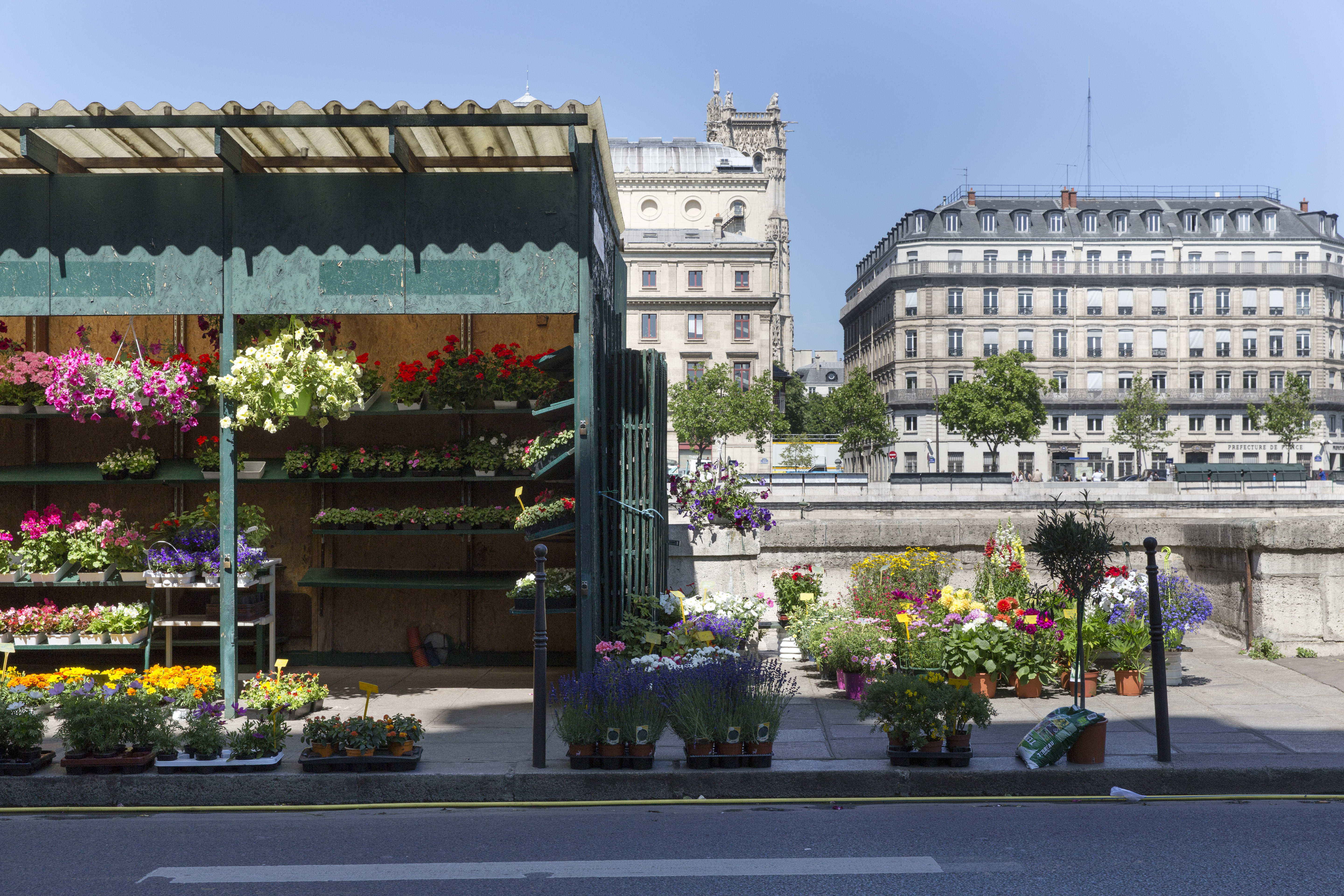 Marché aux Fleurs Reine Elisabeth II Paris