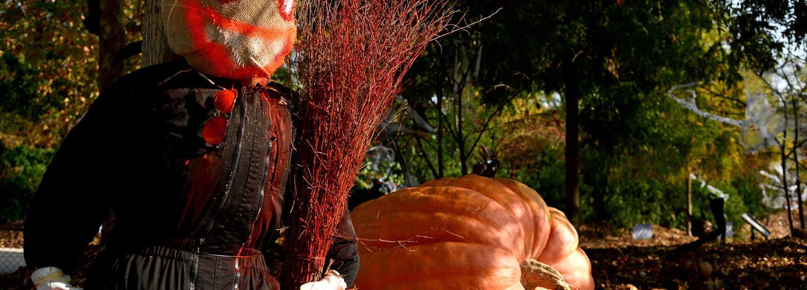 Parc zoologique de Paris - Halloween journée frisson