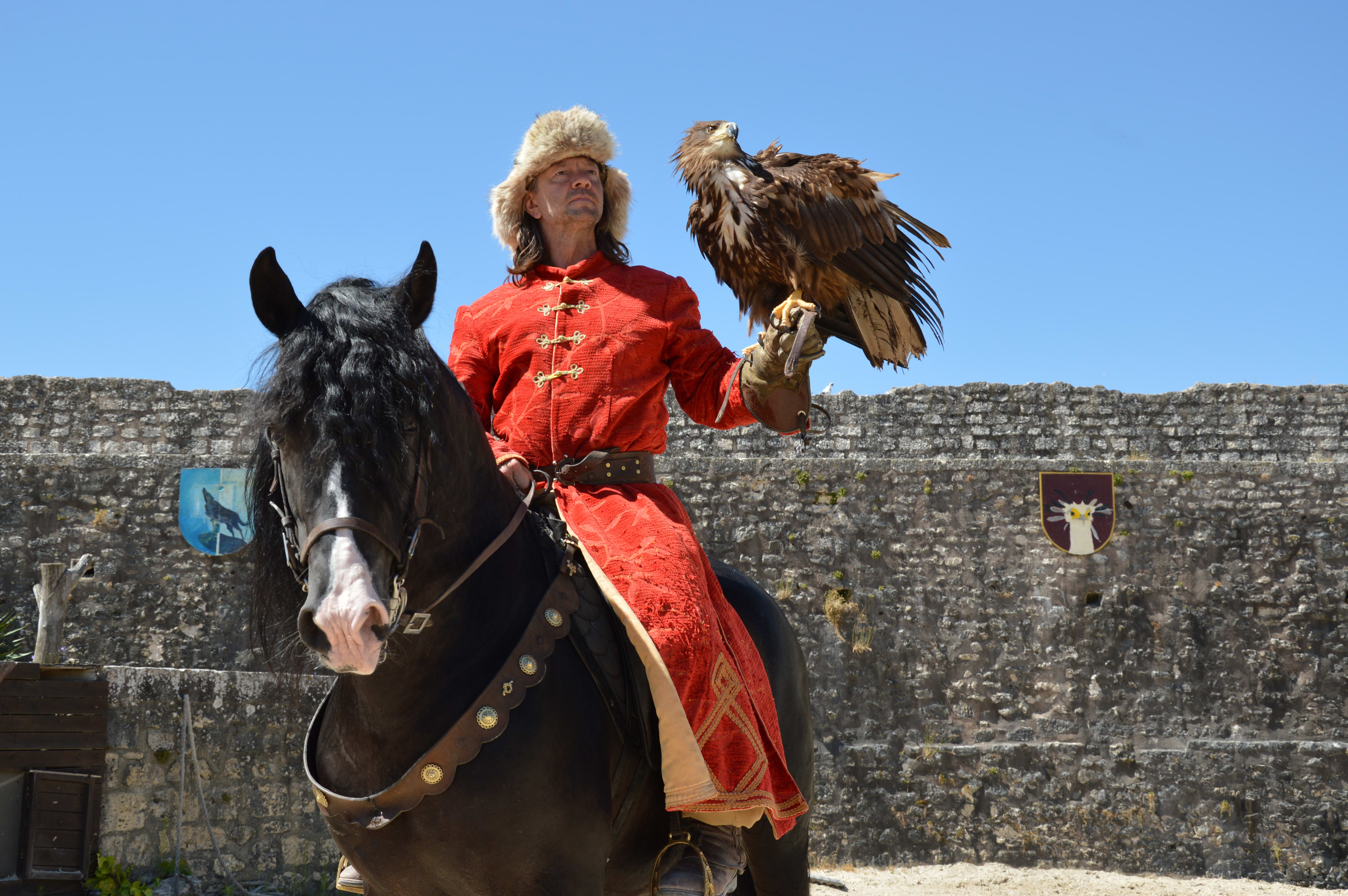 Provins%252C les aigles des remparts