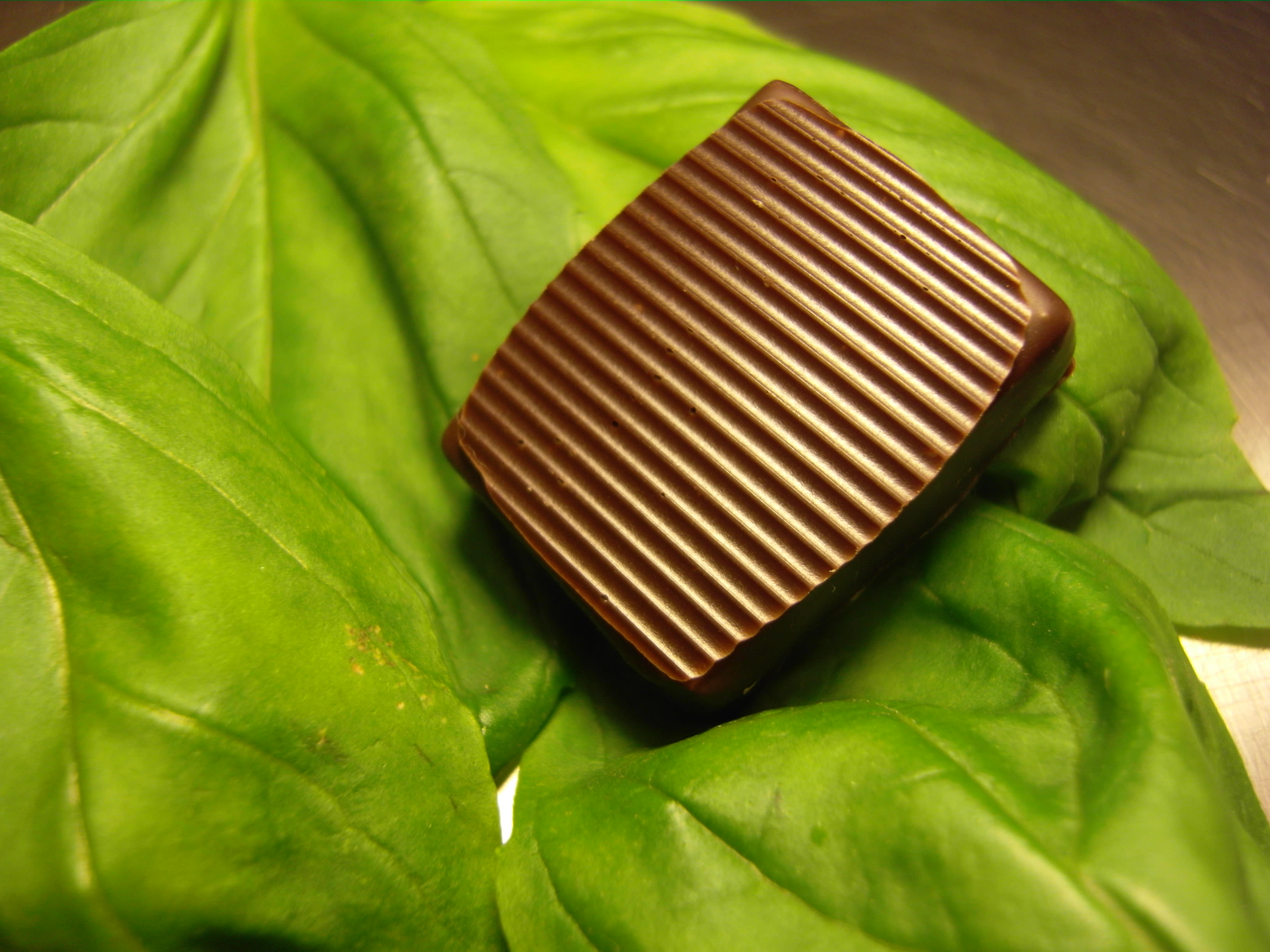 Chocolat avec ganache basilic%252C Gilles Cresno chocolatier%252C Rueil-Malmaison%252C 2010.