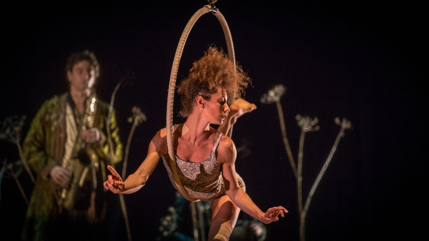 CIRQUE PLUME la dernière saison