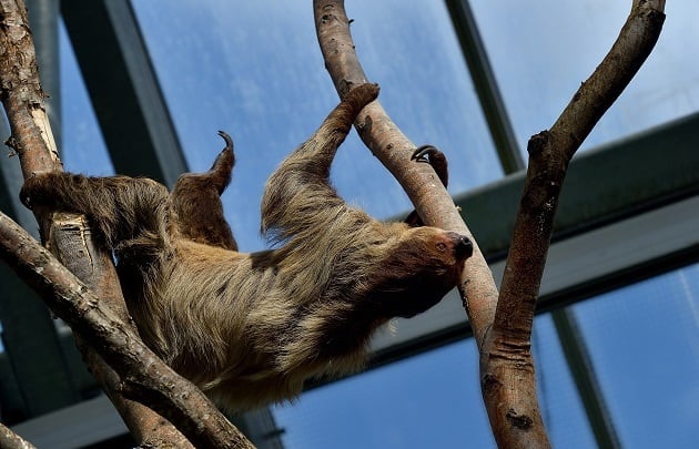 Parc Zoologique de Paris