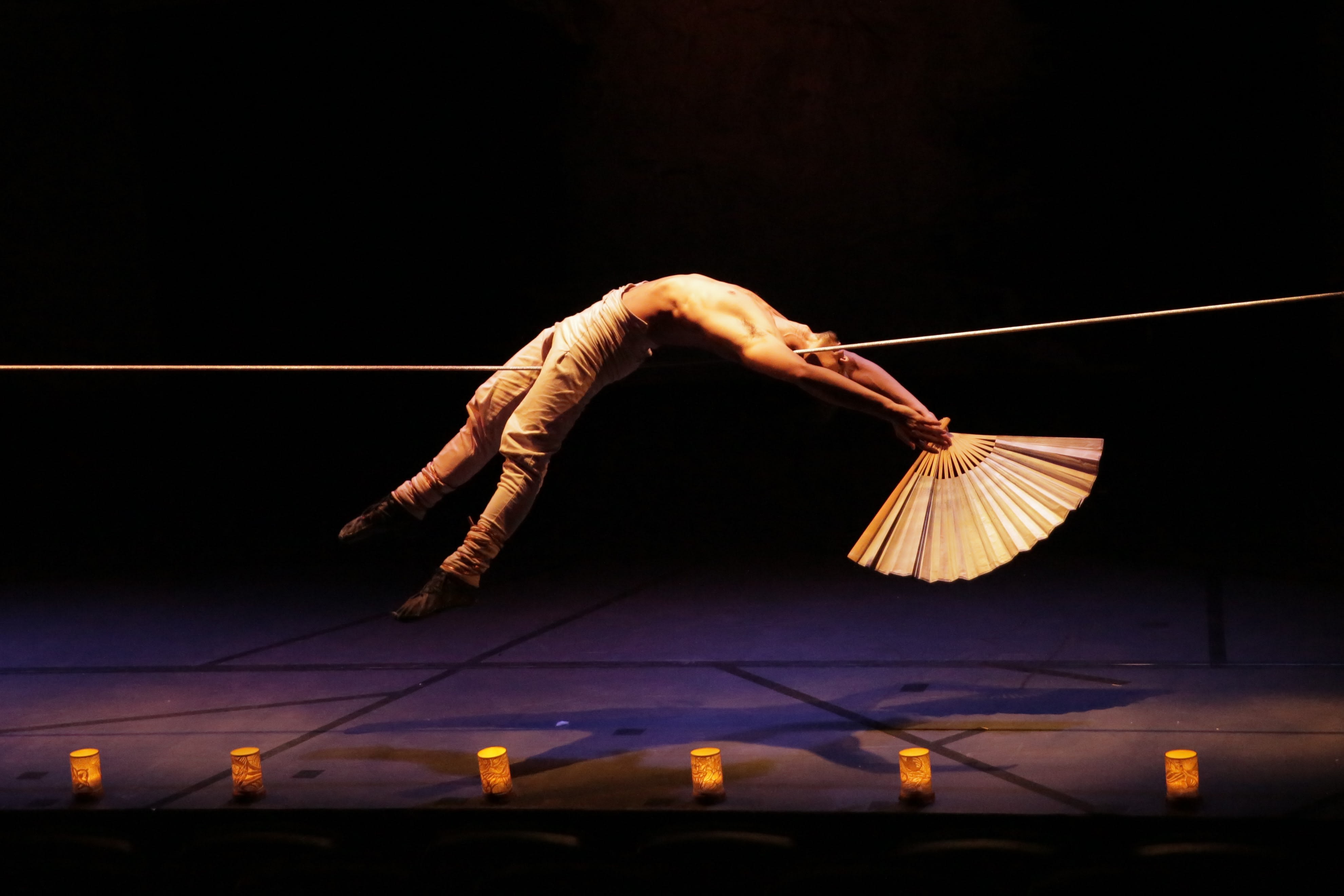 Festival du Cirque de Demain