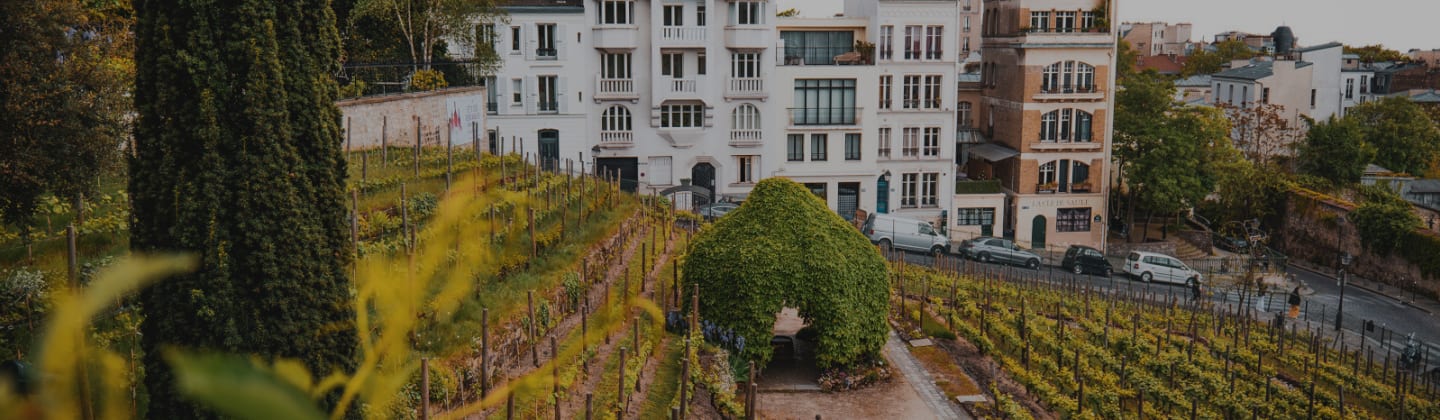 Fête des vendanges de Montmartre