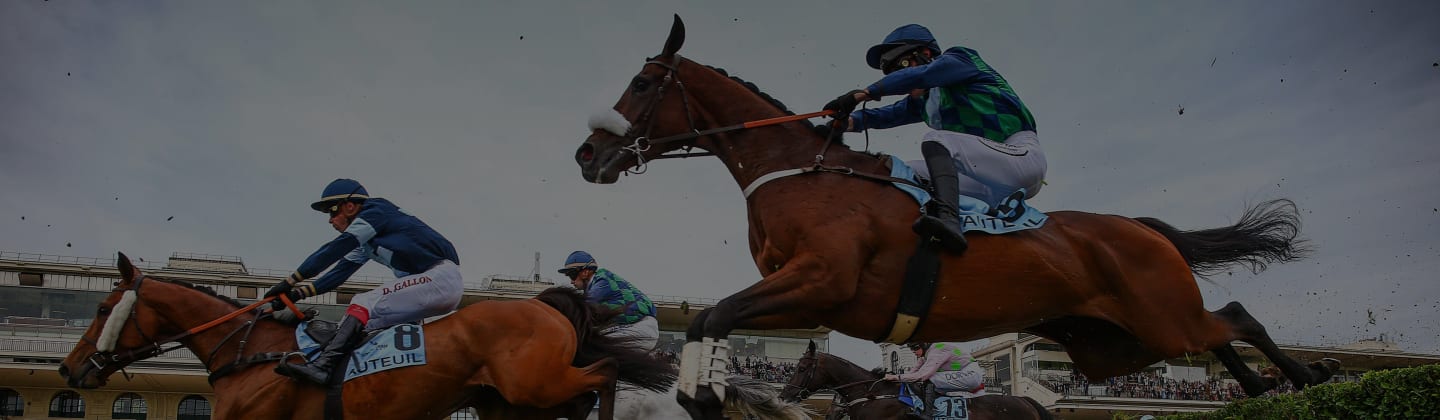 Grand Steeple-Chase Du 18 au 19 mai 2024