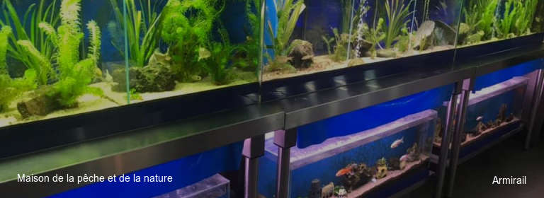 Maison de la pêche et de la nature