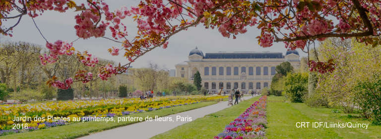 Jardin des Plantes au printemps, parterre de fleurs, Paris 2016